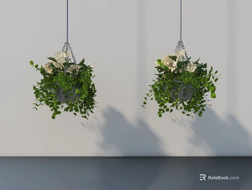 Hanging Basket Plants with Lush Green Leaves and White Flowers Hanging Indoors 3d model 