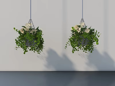 Hanging Basket Plants with Lush Green Leaves and White Flowers Hanging Indoors 3d model