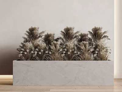 Bonsai Potted Plants in Rectangular Marble Planter with Brown Green Leaves Light Wall Wooden Floor 3d model