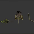 Different Plants with Leafy Branches Small Shrubs Fruits and Curved Branch on White Background