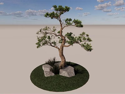Tall Arbor Tree Growing On Green Grass With Stones Under Blue Sky And White Clouds 3d model