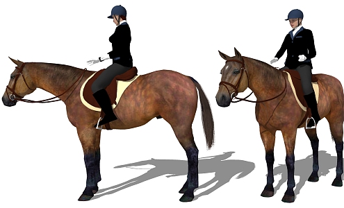 European horse riding figure 3d model