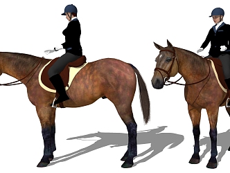 European horse riding figure 3d model