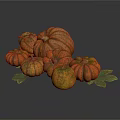Striped And Solid Color Pumpkins With Various Sizes And Green Leaves 3d model