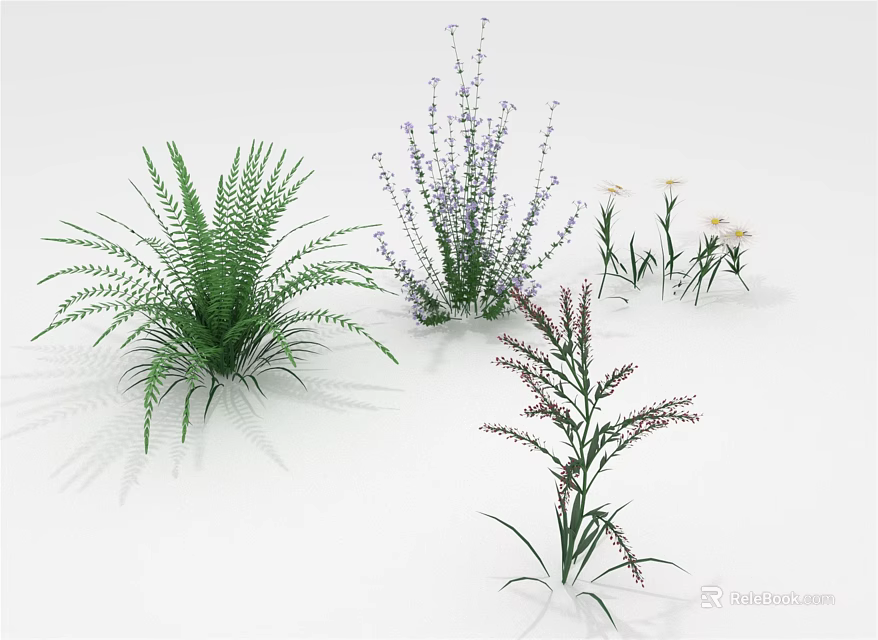 Various Types of Green Plants Including Fern Purple and White Flowers on White Background 3d model 