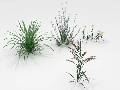Various Types of Green Plants Including Fern Purple and White Flowers on White Background 3d model