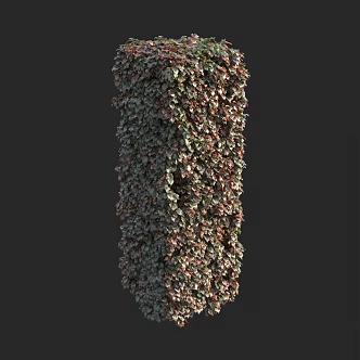 square hedge shrub 3d model
