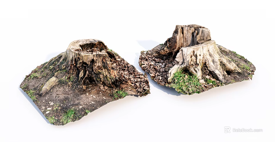 Rustic Wood Stumps On Natural Ground With Stone And Green Moss 3d model 
