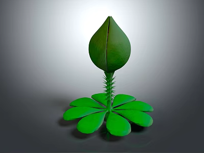 Cute Cartoon Style Green Plant With Unopened Bud And Leaf Structure Design 3d model