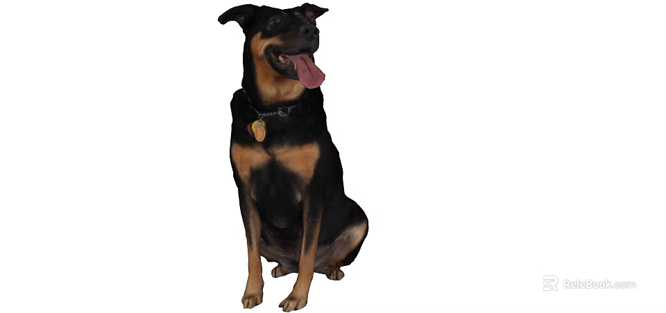 Reptile Lizard Sitting Calmly With Extended Tongue And Scaly Skin Texture 3d model 