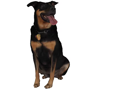 Reptile Lizard Sitting Calmly With Extended Tongue And Scaly Skin Texture 3d model