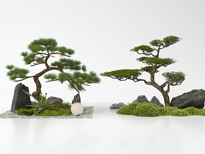 Bonsai Pine Trees in Natural Landscape With Rocks Moss and Pebbles 3d model