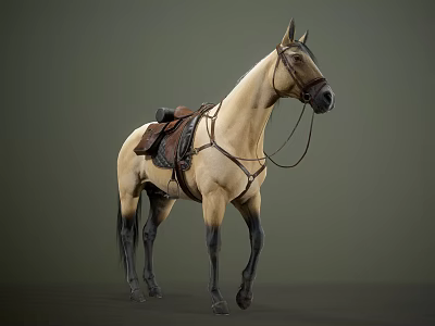 Light Colored Horse With Leather Saddle And Reins Standing On Gray Background 3d model