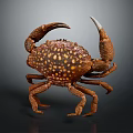 Brown Crab With Yellow Spots And Large Claws Isolated On Dark Background