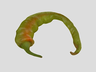 Pepper 2 Scan Pepper Vegetable Green Pepper 3d model