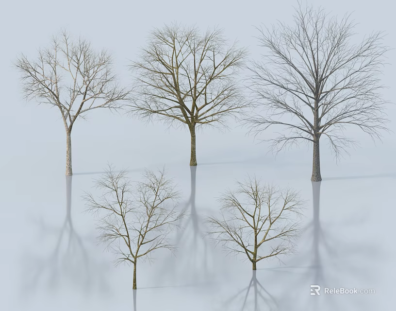 Leafless Trees With Various Trunk Colors And Reflections On White Background 3d model