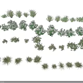 Various Shrubs with Green Leaves White Flowers Different Sizes and Shapes Arranged on White Background