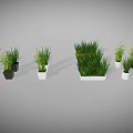 Green Indoor Plants with Various Colored and Different Shaped Planters for Home Decor