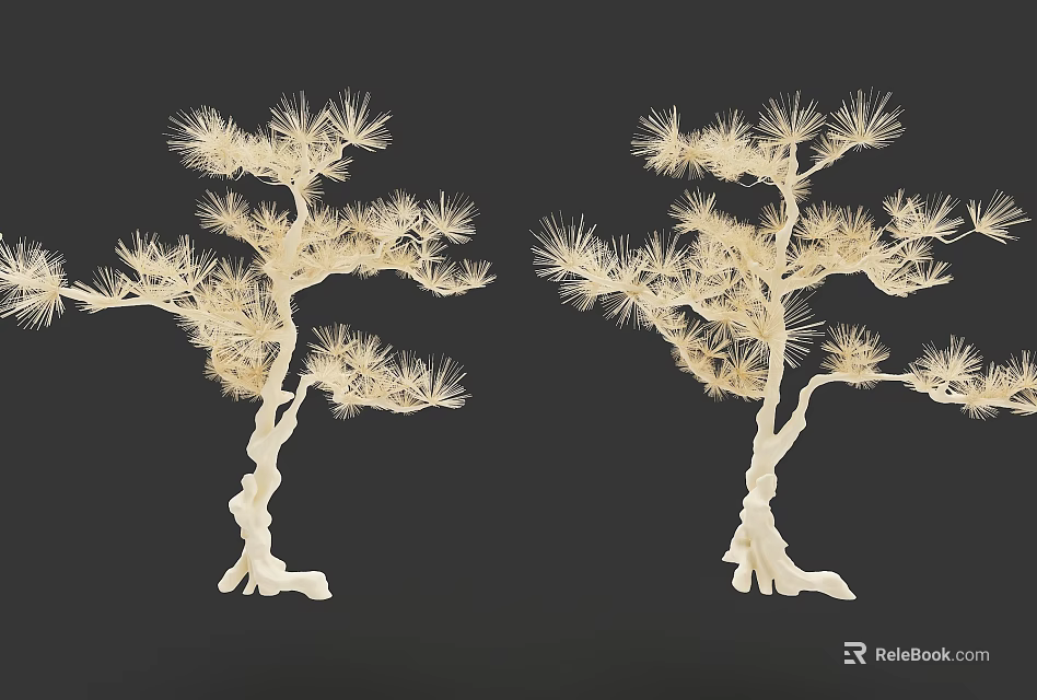 White Pine Style Arbor Trees With Detailed Branches And Needles On Dark Background 3d model 