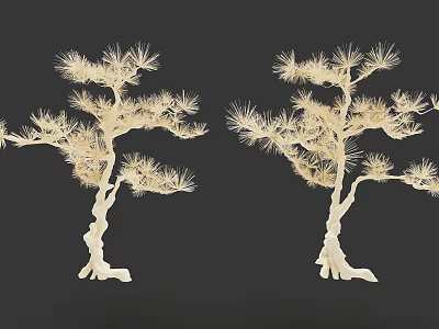 White Pine Style Arbor Trees With Detailed Branches And Needles On Dark Background 3d model