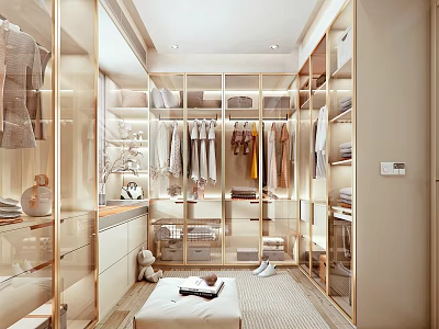 Elegant Modern Walk in Closet Interior With Glass Doors Hanging Areas Drawers And Storage Bench 3d model