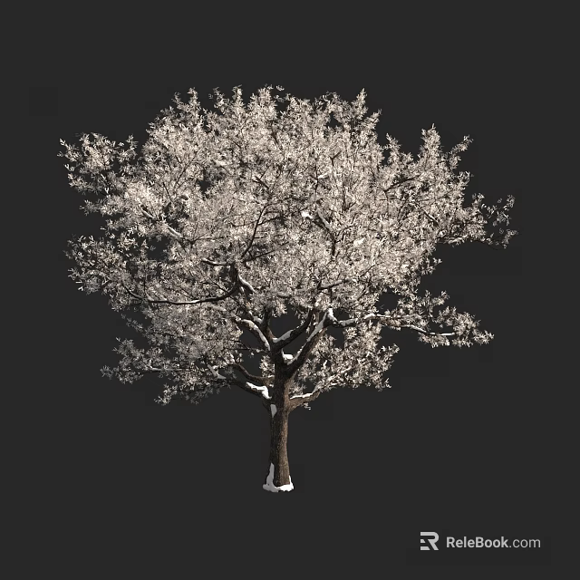 Tall Arbor With Dense White Foliage And Thick Trunk Against Dark Background 3d model 