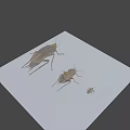 Realistic 3D Insect Models Showcasing Various Sizes And Poses 3d model