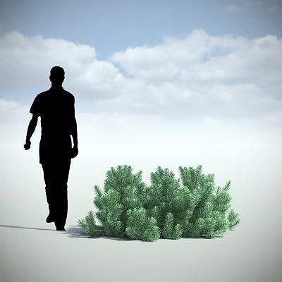 Lush Green Shrub Standing Beside Walking Figure Under Cloudy Sky 3d model
