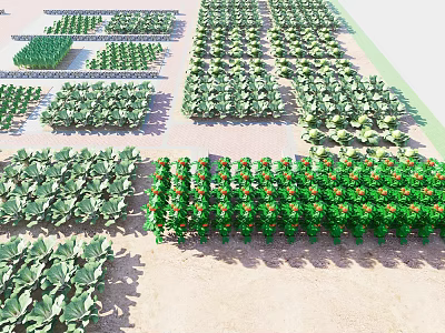 Crops Growing In Farm Field With Various Green Plants Arranged Neatly In Rows 3d model