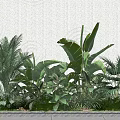 Green Plants Arrangement In Rectangular Planter With Textured White Wall And Gray Tiled Floor 3d model