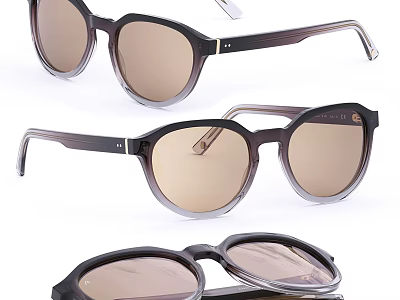 Stylish Sunglasses With Various Frame Designs 3d model