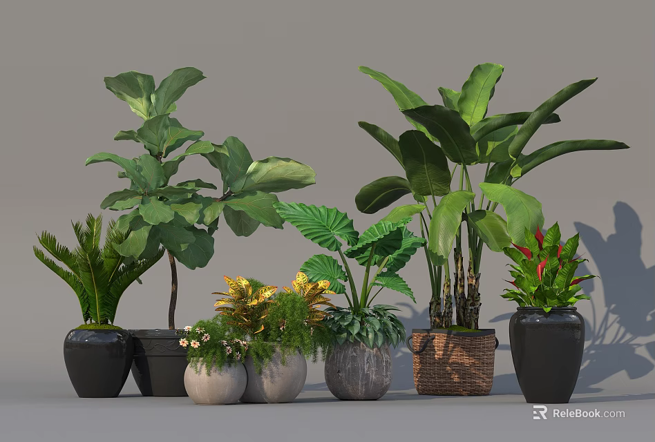 Various Potted Plants with Large Leaves in Ceramic Woven and Stone Pots 3d model 