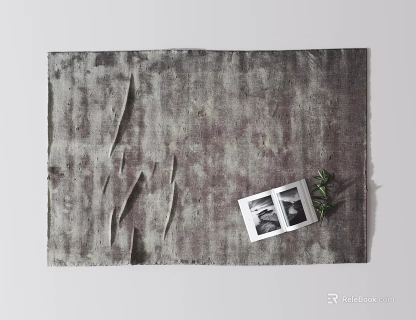 Gray Textured Square Carpet with Two Black White Photos and Small Green Plant in Home 3d model 