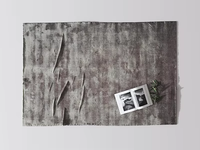 Gray Textured Square Carpet with Two Black White Photos and Small Green Plant in Home 3d model