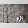 Gray Textured Square Carpet with Two Black White Photos and Small Green Plant in Home