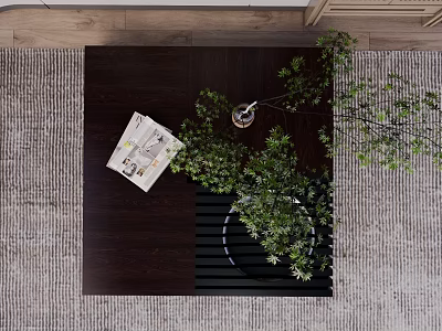 Dark Wood Coffee Table With Green Plant And Magazine On Gray Rug 3d model