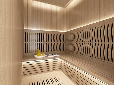Modern SPA Sauna Interior Design With Wooden Panel Walls Bench Seating And Ambient Lighting 3d model