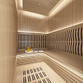 Modern SPA Sauna Interior Design With Wooden Panel Walls Bench Seating And Ambient Lighting