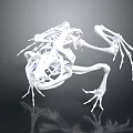 3D Rendered White Medical Device with Complex Structure Articulated Joints Reflective Surface on Black Background