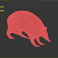 Armadillo With Detailed Shell Texture Standing On Gray Background Showcasing Natural Form 3d model