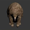 Realistic Pangolin Model With Detailed Armored Scales And Surface Reflection 3d model