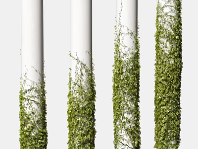 Vine 3d model