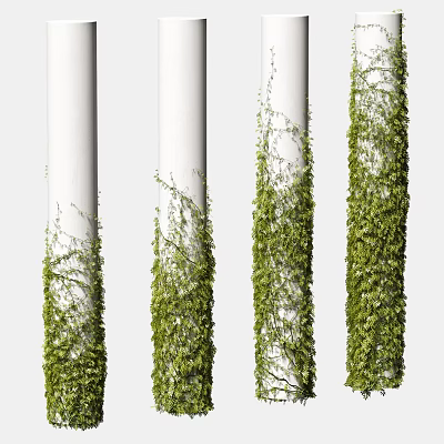 Climbing Green Vines Wrapping Around White Columns with Different Growth Densities 3d model