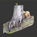 Wooden Stone Decorative Art With Tree Stump Small Sprout And Mossy Stones