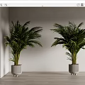 Lush Green Potted Plants in Gray Containers Against White Wall and Wooden Floor