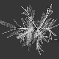 Modern Feathery Plant with Shiny Blue Purple Leaves on Black Background