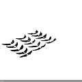 Animal Wing Wall Decor With Various Stylish Black Wing Designs For Home