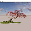 Graceful Arbor Tree with Red Brown Leaves Curved Branches Green Grass Rocks and Small Plants