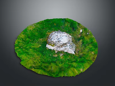 Scenic View of Circular Green Mossy Area with Central White Rock 3d model