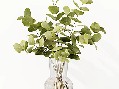 Fresh Green Eucalyptus Leaves In Transparent Glass Vase For Home Decor 3d model
